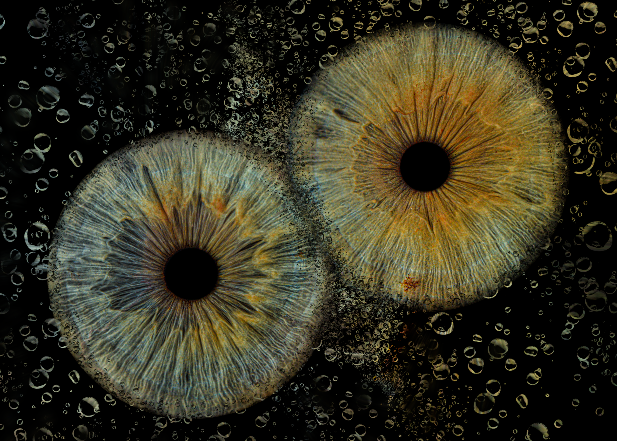 Integral Eye Movement Therapy: Unlocking New Pathways in Trauma Healing